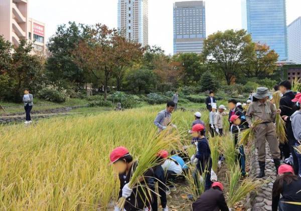 都会のオアシス「新・里山」で“生物多様性”を体感～様々な事業を紹介する「積水ハウス ストーリー」の最新情報を公開～