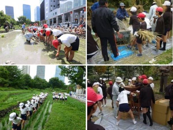 都会のオアシス「新・里山」で“生物多様性”を体感～様々な事業を紹介する「積水ハウス ストーリー」の最新情報を公開～