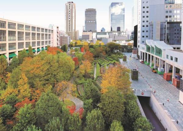 都会のオアシス「新・里山」で“生物多様性”を体感～様々な事業を紹介する「積水ハウス ストーリー」の最新情報を公開～