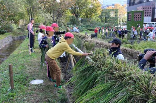 都会のオアシス「新・里山」で“生物多様性”を体感～様々な事業を紹介する「積水ハウス ストーリー」の最新情報を公開～