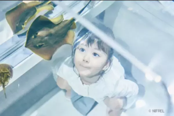 大阪モノレールの1日乗車券とニフレル入館券のセット「ニフレルエンジョイパス」を販売開始