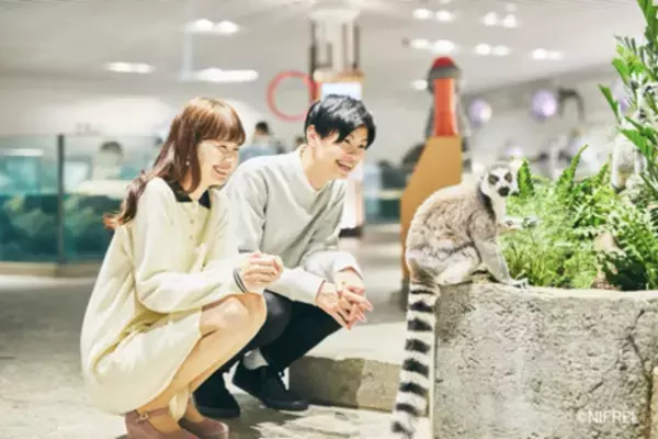 大阪モノレールの1日乗車券とニフレル入館券のセット「ニフレルエンジョイパス」を販売開始