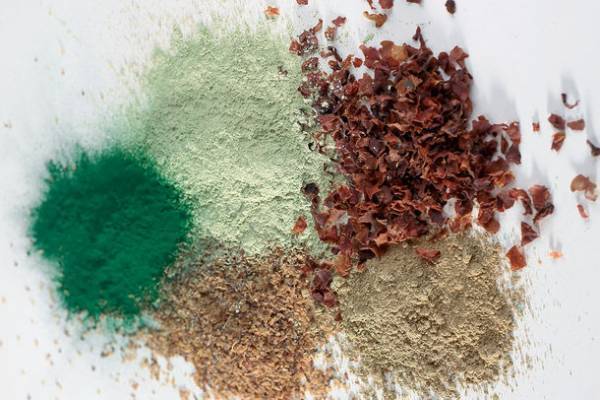 イロワーズ海の海藻エキス配合のフランス製ISOMARINE自然派基礎化粧品　ベーシックケア　モイストプラスセットを半額以下の『お試し価格』で11月から販売開始！