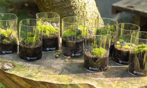 滋賀・栗東市の自然と食事を堪能できる日帰りバスツアー「びわこ湖南再発見！栗東ウエルネスツアー」を12/3より実施　特設サイトにてお申込み受付開始