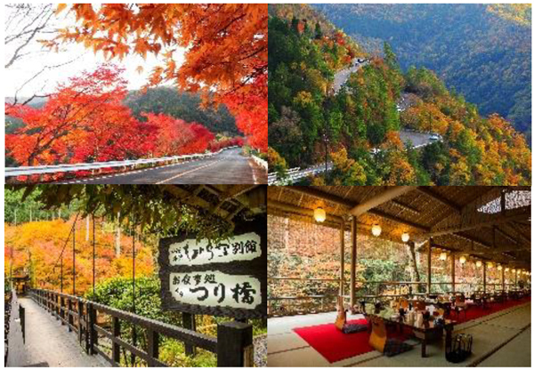 阪急タクシーと西山ドライブウエイによる初めてのコラボ企画「嵐山‐高雄パークウエイ」「京都高雄 もみぢ家」京都嵐山の紅葉と美味で秋を満喫する観光タクシー