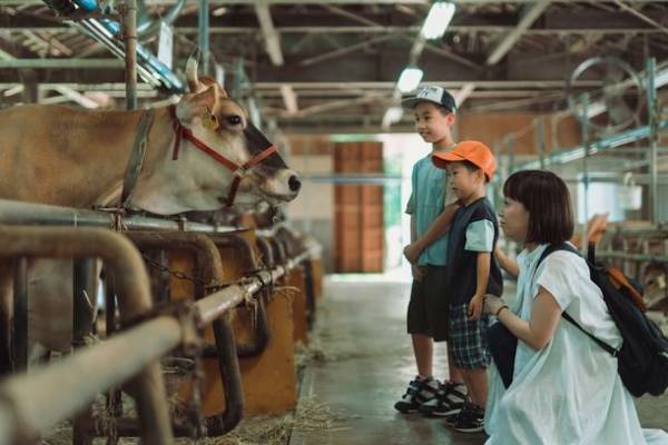 岐阜・飛騨の観光牧場「-天空の牧場-　奥飛騨山之村牧場」11月6日をもって今シーズンの営業を終了
