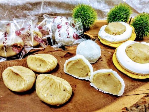 全国1,000人による16,000点以上の手づくり作品が集結！「京都ハンドメイドマルシェ2022」12/10(土)11(日)開催！