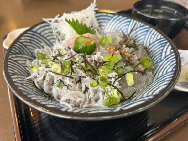 お肉から海鮮まで！千葉県庁職員が選んだ他県の人におすすめしたい千葉県の絶品どんぶりTOP10を発表