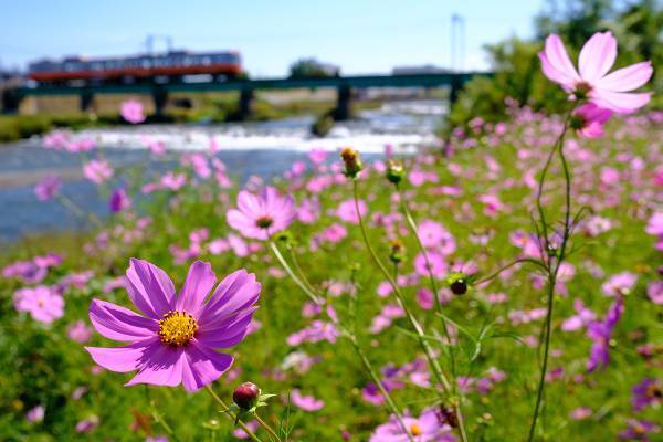 「駅すぱあと乗りものフォトコンテスト2022」結果発表！