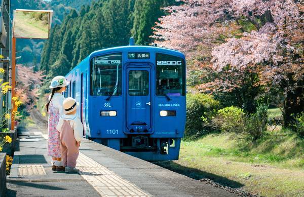 「駅すぱあと乗りものフォトコンテスト2022」結果発表！