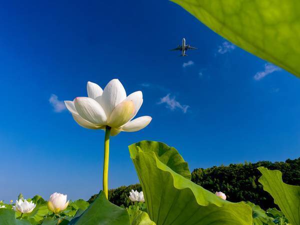 「駅すぱあと乗りものフォトコンテスト2022」結果発表！