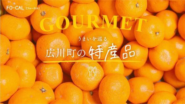 真木よう子さんが学びも深められる大人旅へ「旅色FO-CAL」広川町特集公開