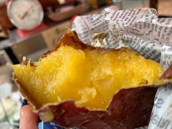 東京・町田市で「来て・見て・味わう」秋のイベント開催　紅葉ライトアップやフェス・マルシェも出展