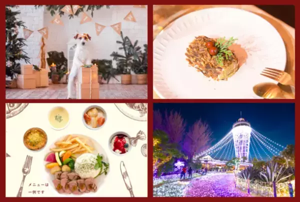 フレッシュペットフード・ココグルメとワンぽちツアーズを展開するkmモビリティサービスの協働事業第二弾！愛犬とクリスマスを楽しむバスツアーを12月18日に開催