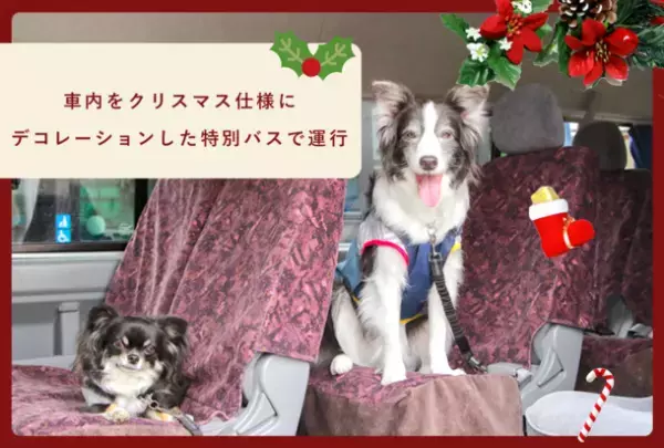 フレッシュペットフード・ココグルメとワンぽちツアーズを展開するkmモビリティサービスの協働事業第二弾！愛犬とクリスマスを楽しむバスツアーを12月18日に開催