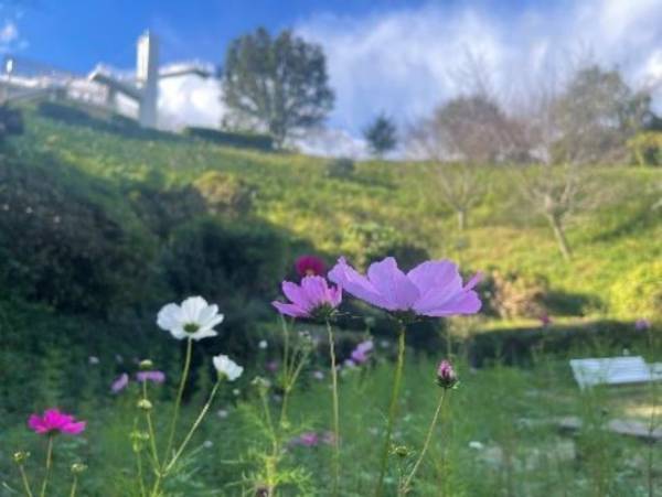 信貴生駒スカイライン「鐘の鳴る展望台」エリアリニューアル