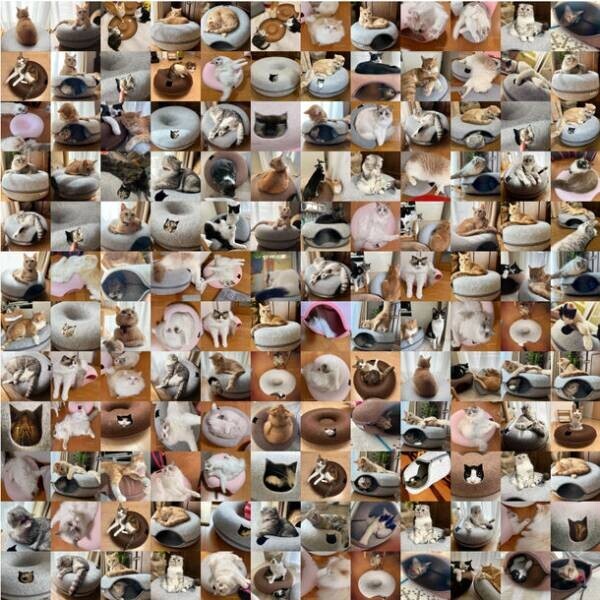 猫用ベッド にゃんドーナツ　発売4周年記念　インスタ プレゼントキャンペーンを実施