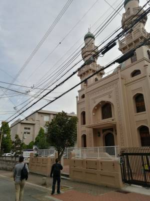 規制緩和後のインバウンド神戸観光ツアーをご紹介