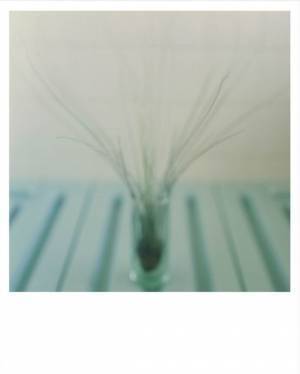 早世の写真家・牛腸茂雄のコロタイプ・ミニポートフォリオを便利堂より発売！11/13まで渋谷パルコで展覧会開催中