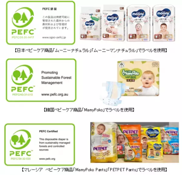 SGEC/PEFCジャパンと「森林認証共同推進締結式」を実施