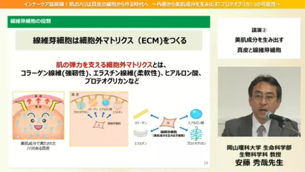 ＜セミナーレポート公開＞ハリのある肌を維持するカギは、真皮の細胞に働きかけるインナーケア　内側から美肌成分を生み出す「プロテオグリカン」の可能性