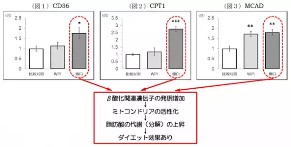 卵白プロテインに関する九州大学との共同研究結果について