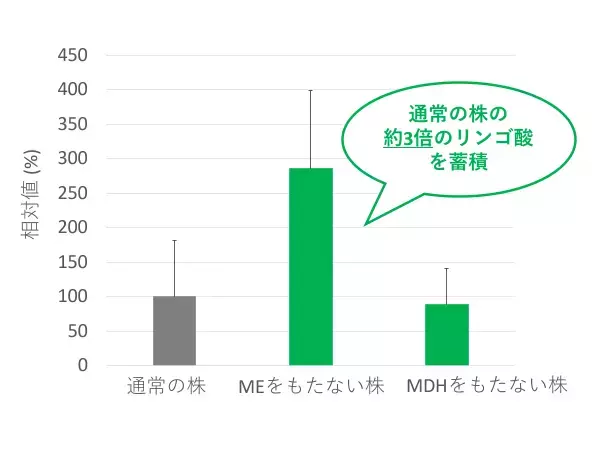リンゴ酸が“ピルビン酸”に変換される特殊なクエン酸回路を発見明治大学大学院農学研究科 伊東昇紀助教・小山内崇准教授らの研究グループ