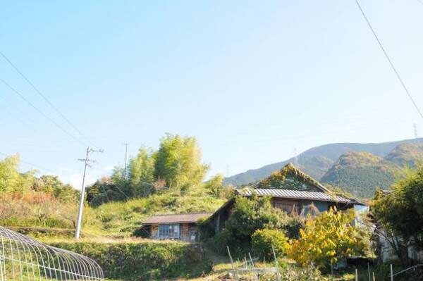 「農的な暮らし」におすすめの新たな移住地「松山市久谷(くたに)」　愛媛・松山市の魅力を“note”で情報発信する。第三回のテーマは「移住」。11月11日(金)13時掲載スタート