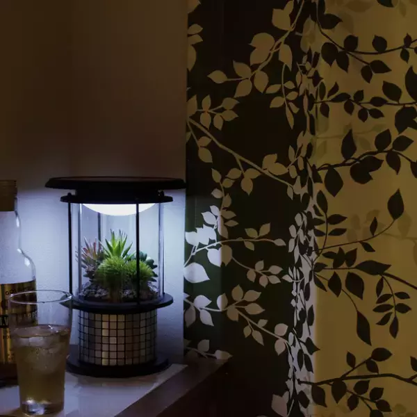 日常も観賞用として楽しめるソーラーLEDランタン「おうちランタン テラリウムグリーン」発売！