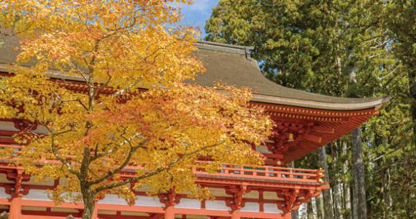 2023年は弘法大師生誕1250年　聖地・高野山の魅力の詰まった映像作品を4K Ultra HDブルーレイ、ブルーレイ、DVDにて発売