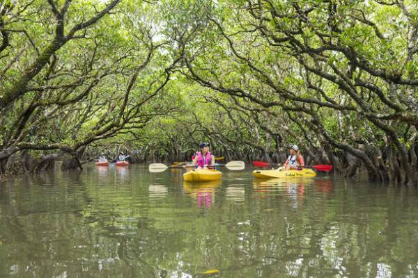 「こけけKAGOSHIMA母娘旅」プレゼントキャンペーン実施中
