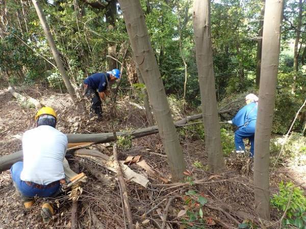荒廃が進む京都三山の「東山」を、文化育む「共生の森」へ　クラウドファンディング開始
