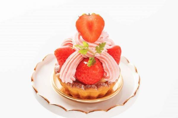 自然の中でスイーツも楽しめたら、幸せ。“キャンプに連れていきたくなる”静岡県三島市の小さなケーキ店「keitan Sweets(ケイタンスイーツ)11月30日オープン！