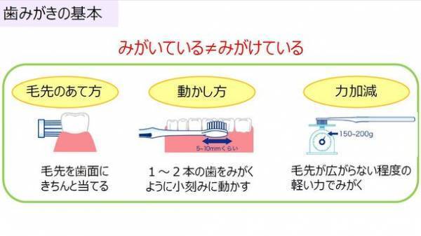 オーラルケア社内研修プログラムを実施　当社新入社員の約7割以上が1日3回歯みがき、フロス・洗口剤使用が習慣化