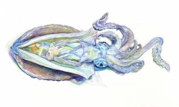 〈2022美の起原展〉最終審査結果発表　307名・394応募作品の中から大賞が決定！