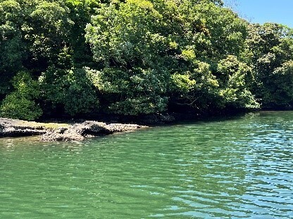 60分体験クルージング「SeaCruise（シークルーズ）」