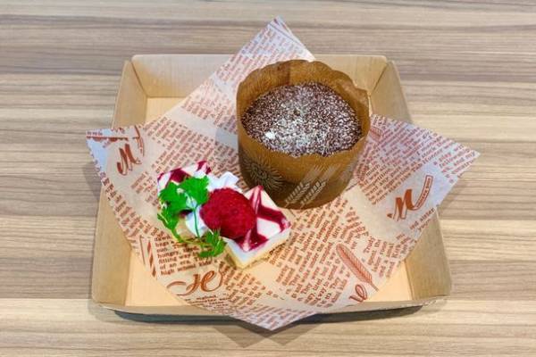 三夜限定！夜の水族館で生き物たちとクリスマスを楽しむ「クリスマスナイト in アクアワールド・大洗」を12/17,24,25開催！