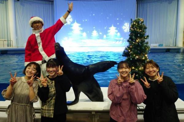 三夜限定！夜の水族館で生き物たちとクリスマスを楽しむ「クリスマスナイト in アクアワールド・大洗」を12/17,24,25開催！