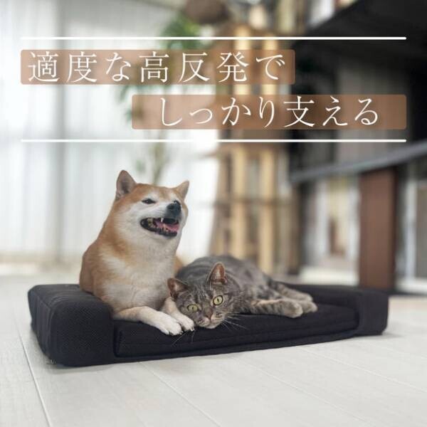 9割が“空気”でできたペット用ベッド「Air Pet Bed」を京王百貨店新宿店等で販売開始！