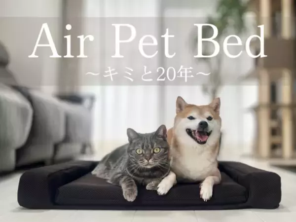 9割が“空気”でできたペット用ベッド「Air Pet Bed」を京王百貨店新宿店等で販売開始！