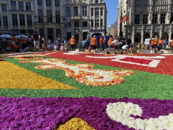 2025年開催の大阪・関西万博へ続く花の絨毯「Osaka Flower Carpet 2022」が11月25日～11月27日開催