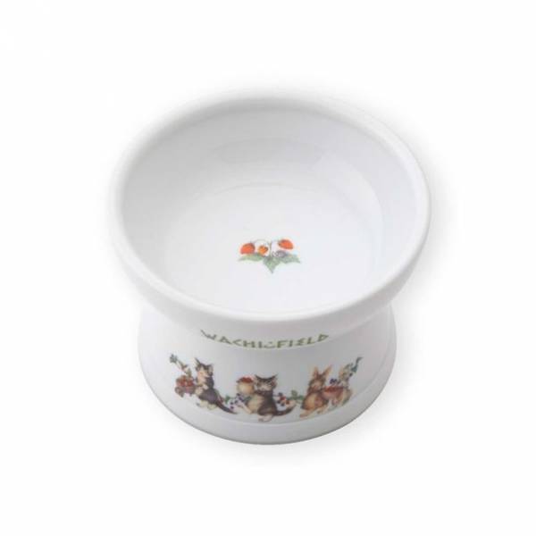 “猫のダヤン”限定デザインのコラボ商品が数量限定で11月下旬に新発売！食器・おもちゃの人気シリーズ！累計発行部数320万部を記録した大人気キャラクター