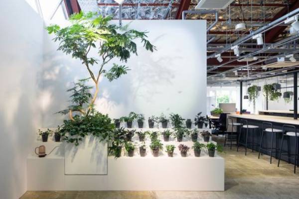 健康経営を促進するバイオフィリックデザインソリューション「COMORE BIZ(コモレビズ)」空間見学＆1日無料コワーキングスペース体験キャンペーン開催