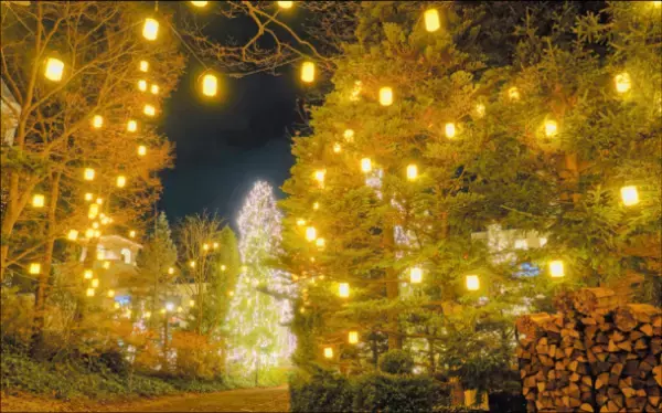 あべのハルカスでブランド花苗、クリスマス雑貨などの販売会「Xmas Gardening＆Pansy Viola Exhibit」を12月7日～13日開催