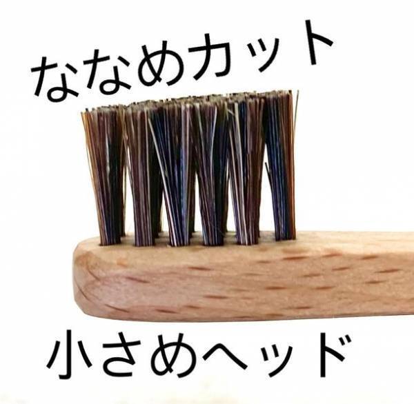 脱プラが急務！海洋プラごみ廃棄で日本は世界ワースト2位！？売れ行き好調の馬毛とブナの天然歯ブラシ、大阪製ブランドに認定