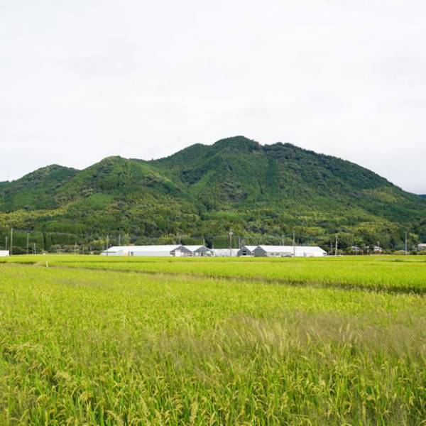 兵四郎ファーム、インスタのフォロワー数が200％アップ！マルシェへの出店依頼やお問い合わせが急増　小麦アレルギーの方にも安心な『米粉パンケーキミックス』が人気