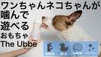 日本初上陸！噛んで遊べるおもちゃ 犬猫専用フードトイ「Ubbe」　2023年1月29日までMakuakeにて先行販売中！
