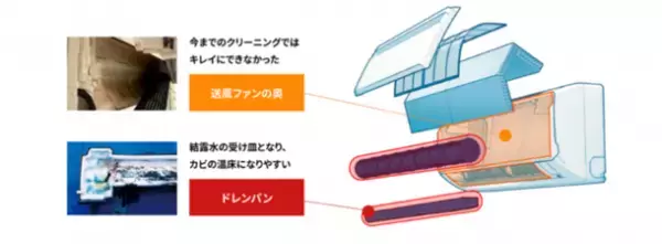 2022年大掃除意識調査の結果を公開　イマドキママの半数以上は大掃除をしない？！
