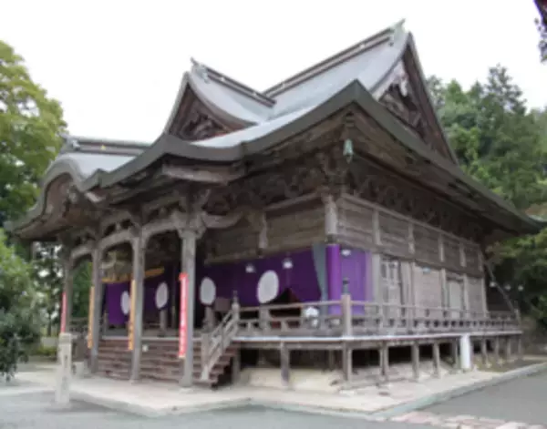 最大3,300円お得！京都宮津の人気観光スポットを超お得料金で周遊できる半日バスツアー催行中！