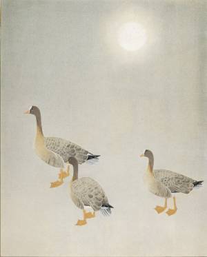 上村淳之 文化勲章受章記念 こころの花鳥画　上村松篁・淳之展を開催します。